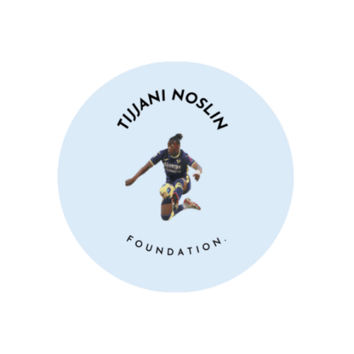 STICHTING TIJJANI NOSLIN FOUNDATION logo